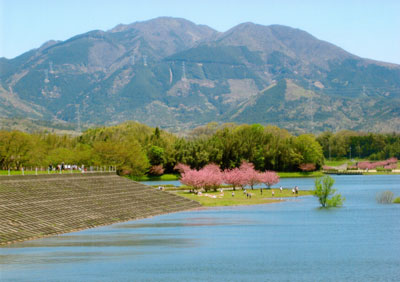 日野ダムの風景写真